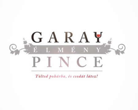 Garay élménypince